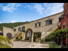 Ajijic Treasure Estate