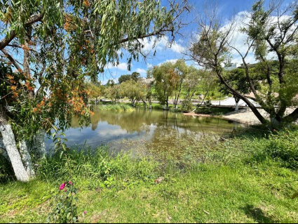 Vista Colinas