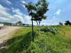 Vista Colinas