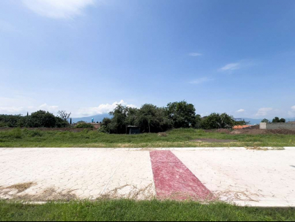LaFlorentina42(WEB)-6