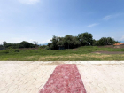 LaFlorentina42(WEB)-4