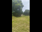 Lote en Puerta Nueva