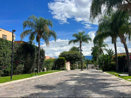 Ajijic-Magnificent-Ajijic-Lot-04