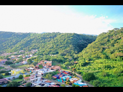 DJI_0598~2