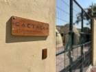 CACTACEO 2