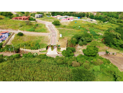 RSM (1)