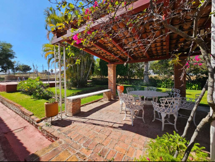 TERRAZA JARDIN 1