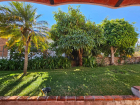 JARDIN ARBOLES