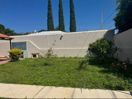 Jardin