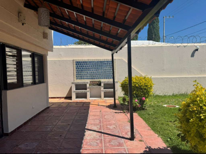 Terraza y Jardin