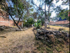 PXL_20251129_203458015~2