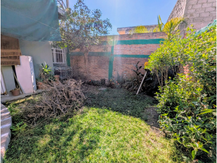 PXL_20251220_203803161.MP~2