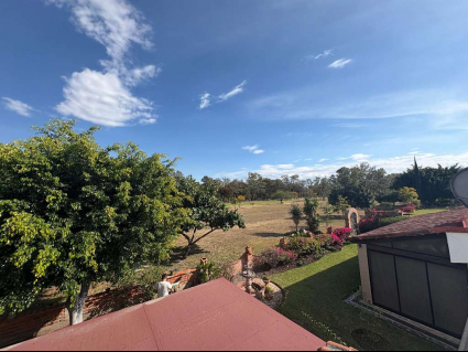 GREEN VIEWS 9