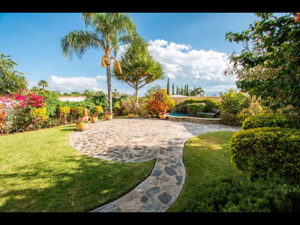 Villa-Olivos-home-for-sale-ajijic (16)