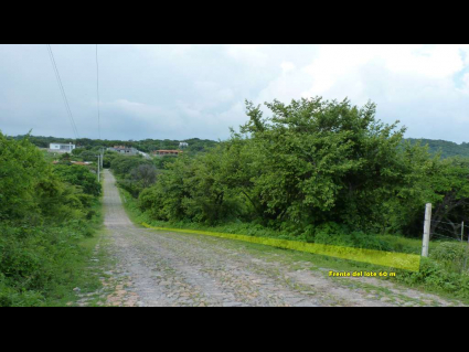 Country-living-lote-02