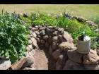 organic garden area comun