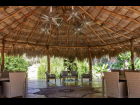palapa