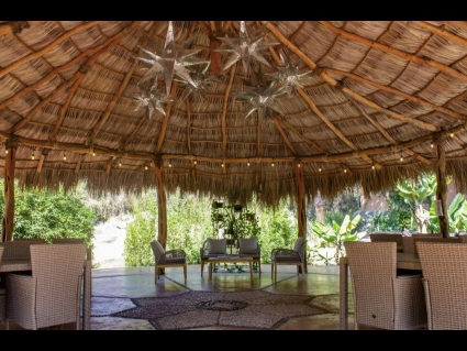 palapa