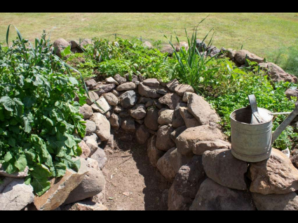 organic garden area comun