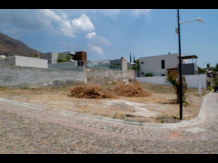 04-Lote-Cardenal