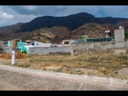 06-Lote-Cardenal