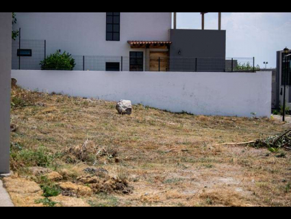 02-Lote-Cardenal