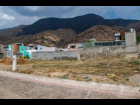 06-Lote-Cardenal