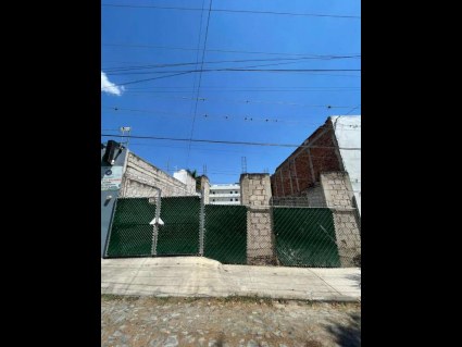 foto lote xochitl