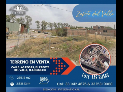 Lote Sale (1)