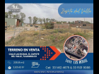 Lote Sale (1)