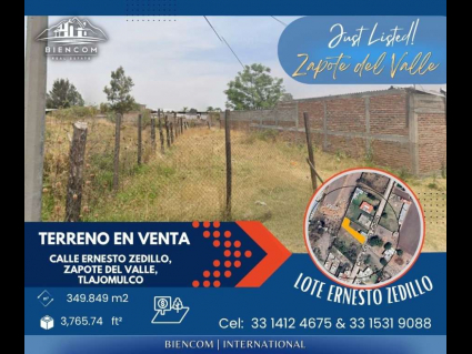Lote Sale (1)