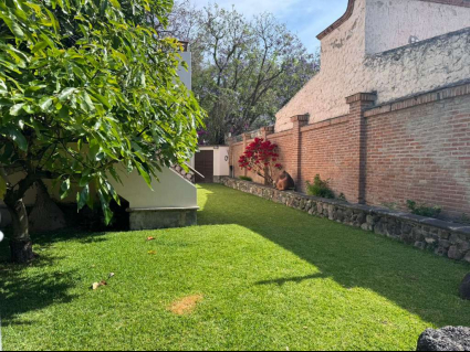 Jardin lateral
