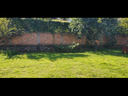 jardin 1