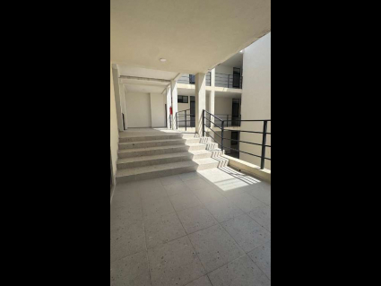 escaleras ingreso - copia (2)