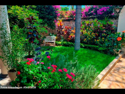 12633_3_casa_martin__1776901601