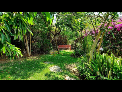 Jardin