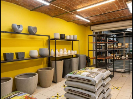 local planta baja (1)