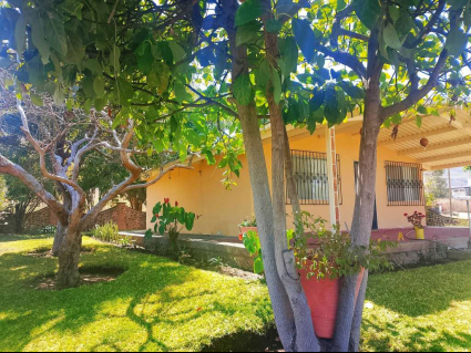 3 jardín fachada