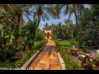 05---Tropical-Entry-Garden