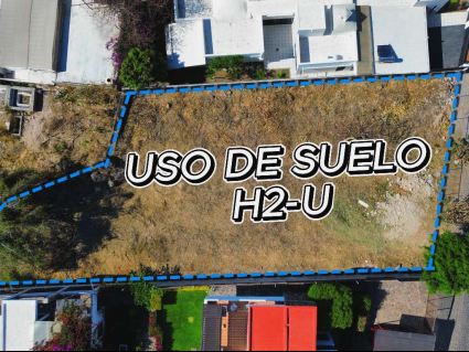 IMAGEN 7