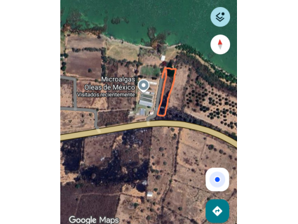 Google maps (1)