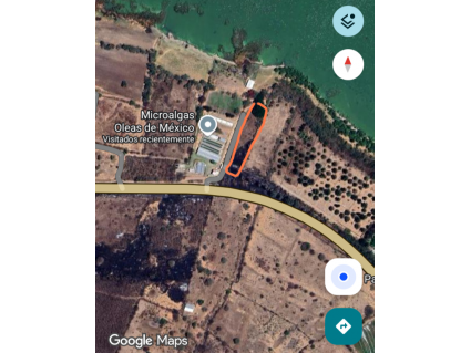 Google maps