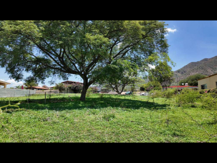 Chapala-Brisas-de-Chapala-Lote Arthur-03