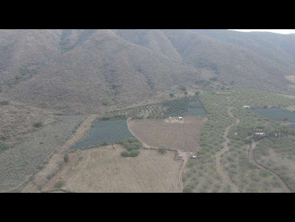 Ixtlahuacan-de-los-Membrillos-Cedros-El-Mirador-de-Cedros-05