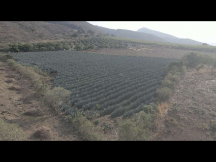 Ixtlahuacan-de-los-Membrillos-Cedros-El-Mirador-de-Cedros-07