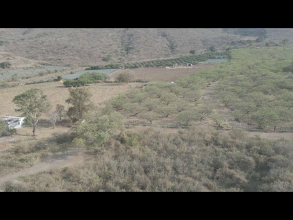 Ixtlahuacan-de-los-Membrillos-Cedros-El-Mirador-de-Cedros-09