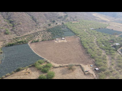 Ixtlahuacan-de-los-Membrillos-Cedros-El-Mirador-de-Cedros-03