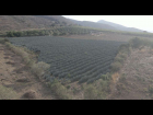 Ixtlahuacan-de-los-Membrillos-Cedros-El-Mirador-de-Cedros-07