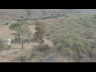 Ixtlahuacan-de-los-Membrillos-Cedros-El-Mirador-de-Cedros-08