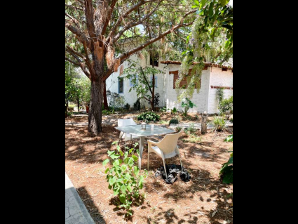 Garden view of Studios & Bodega